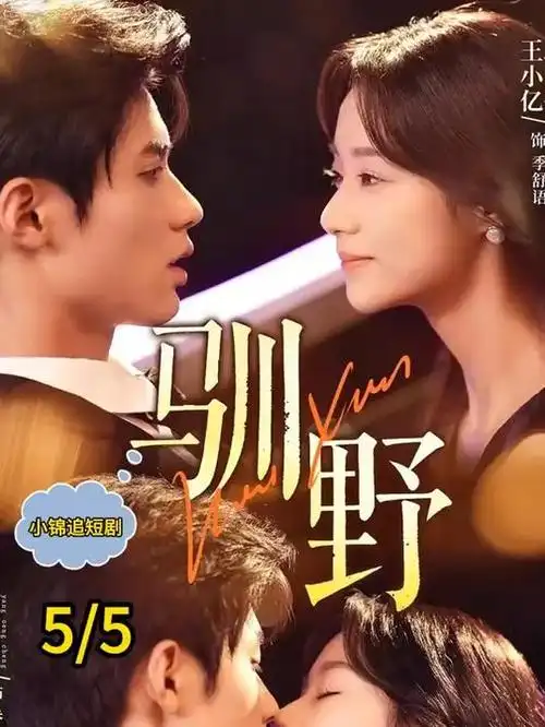 绯色之恋 电视剧 2025